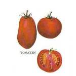 Gewürzfibel, Tomate