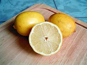 Zitrone (Citrus × limon) – altes Hausmittel und Naturheilmittel